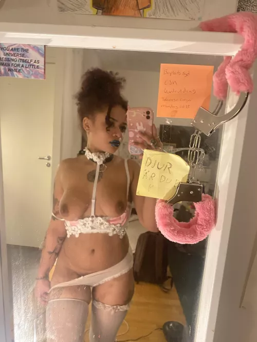 Pink + white by -GUS___