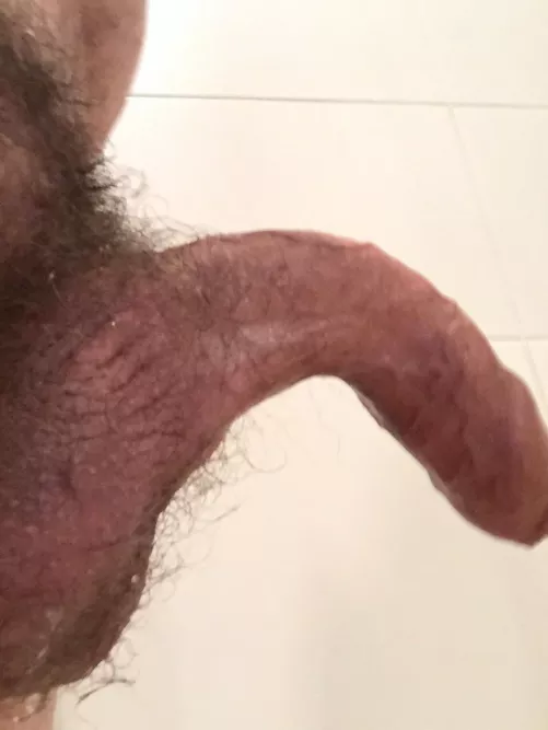 Piss dripping from my balls making me hard by Naturenudegayhappy