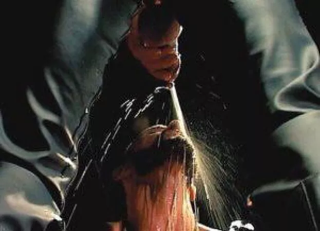 “Piss heaven” … by neilfromsydney2003