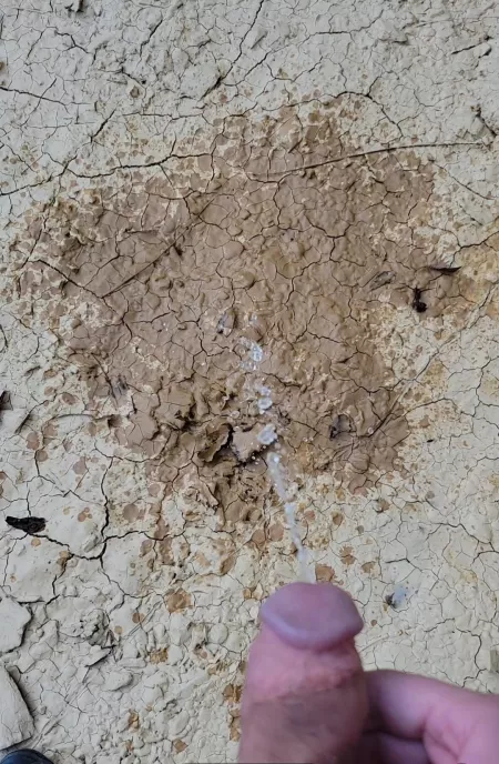 Pissing in the dirt (M22) by Beautiful-Field-9072