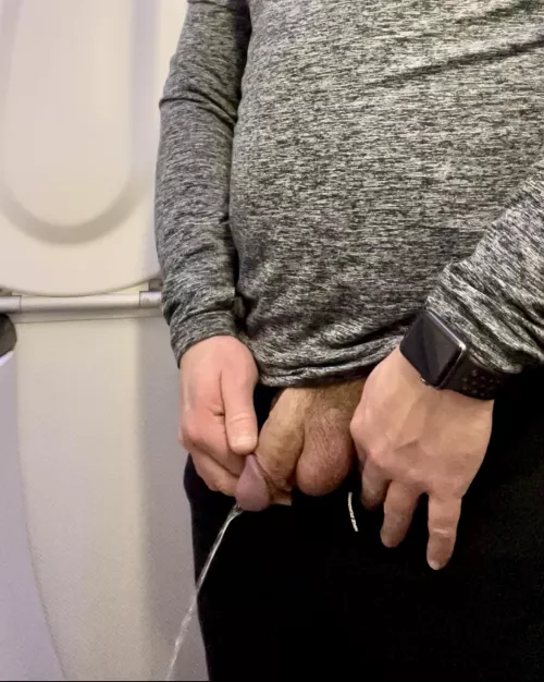 Pissing on a plane by Revolutionary-Dog-94