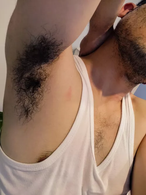 Pit and tank by nobody_account_