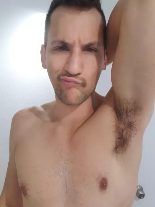 Pitbro by Other_Improvement982