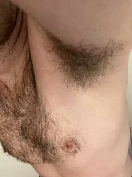 Pittt by SingleMusician9651