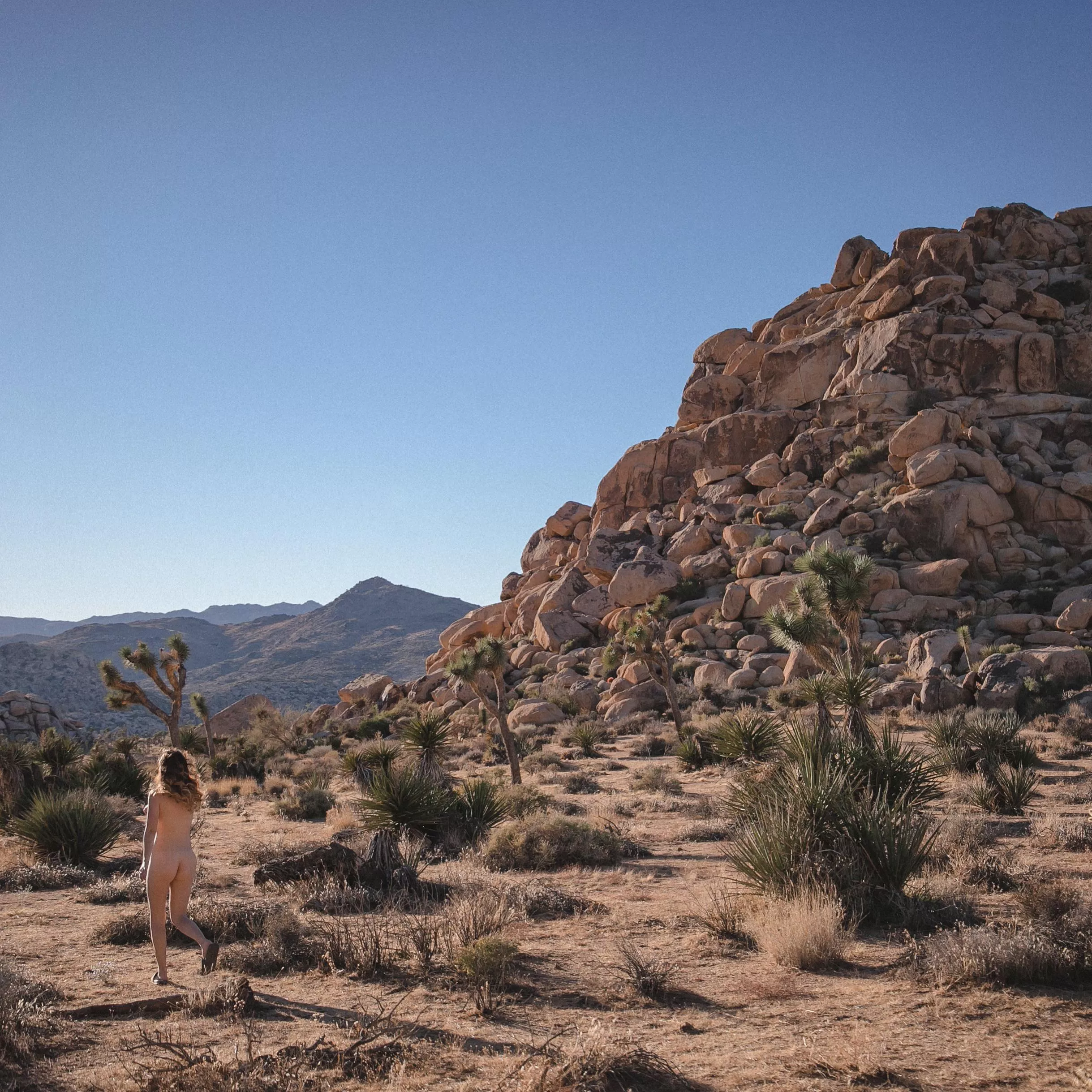 Planning my next trip to Joshua Tree! Who has been?! posted by moephotos