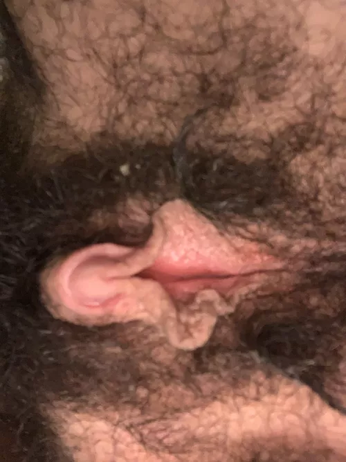 Play? by Dependent_Charity_43