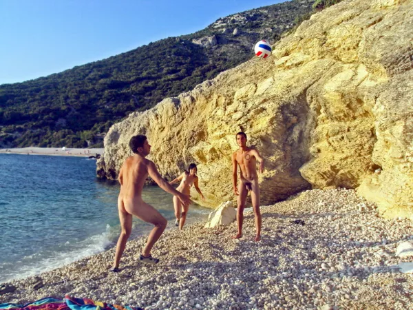 Play ball with friends by bobettebobqc