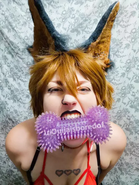 Play fetch with me!?! by Ouijaisboredof