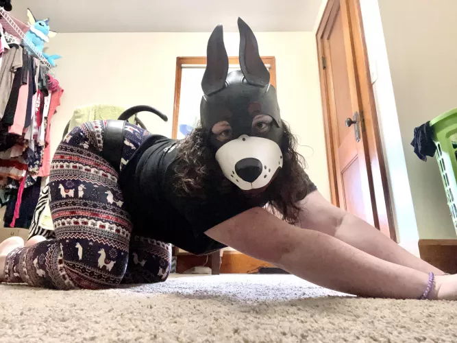 Play? Plz? 🥺 by ccpinkk