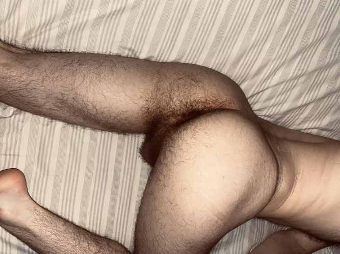 Play with my hairy balls while you eat my hairy hole 😉 (24m) by aspiring-otter