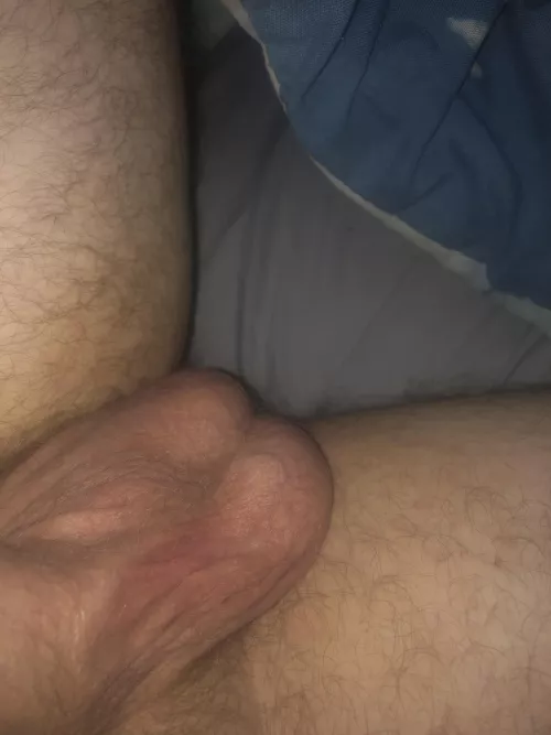 Play with them by goldxsoul