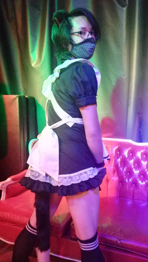 Playful catboy maid by ukekitty