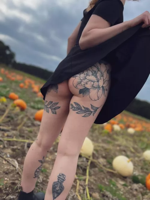 playing around at the pumpkin patch by the_huldra