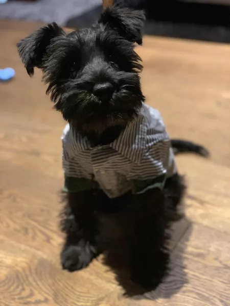 playing dress ups by sharkweeek