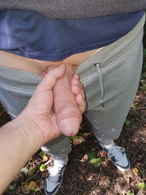 Playing in the woods by Gizmondo82