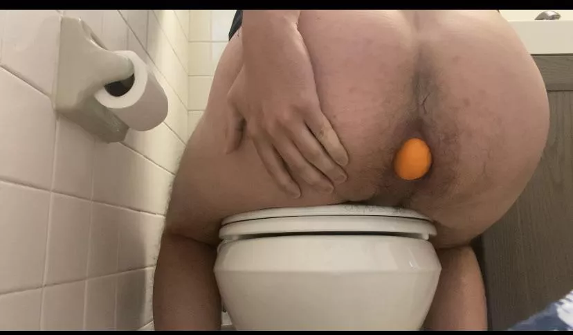 Playing with a couple mandarin oranges was fun 😊 posted by kopper22