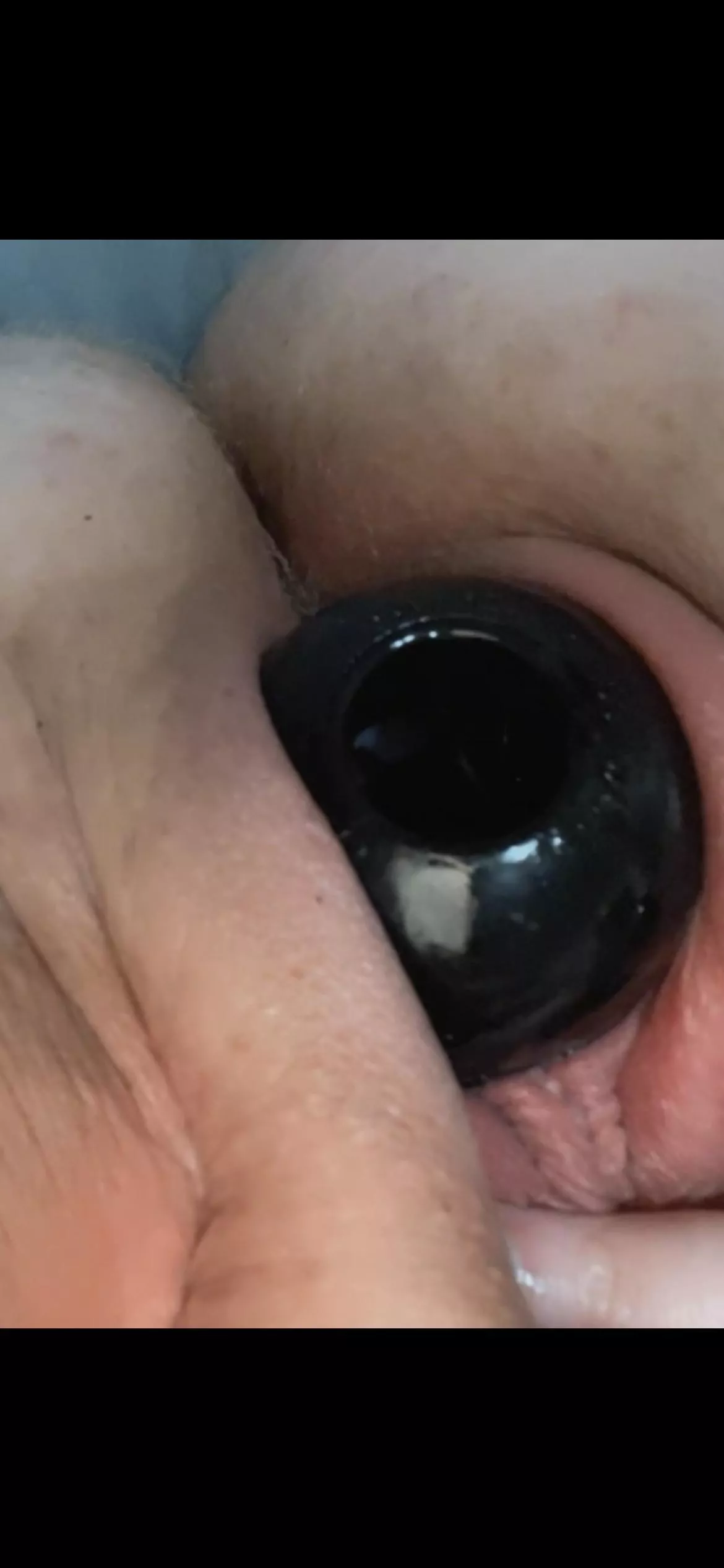 Playing with dog toys tonight posted by needmoreatl