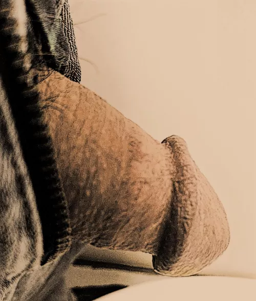 Playing with filters (46) by daddylikedatt