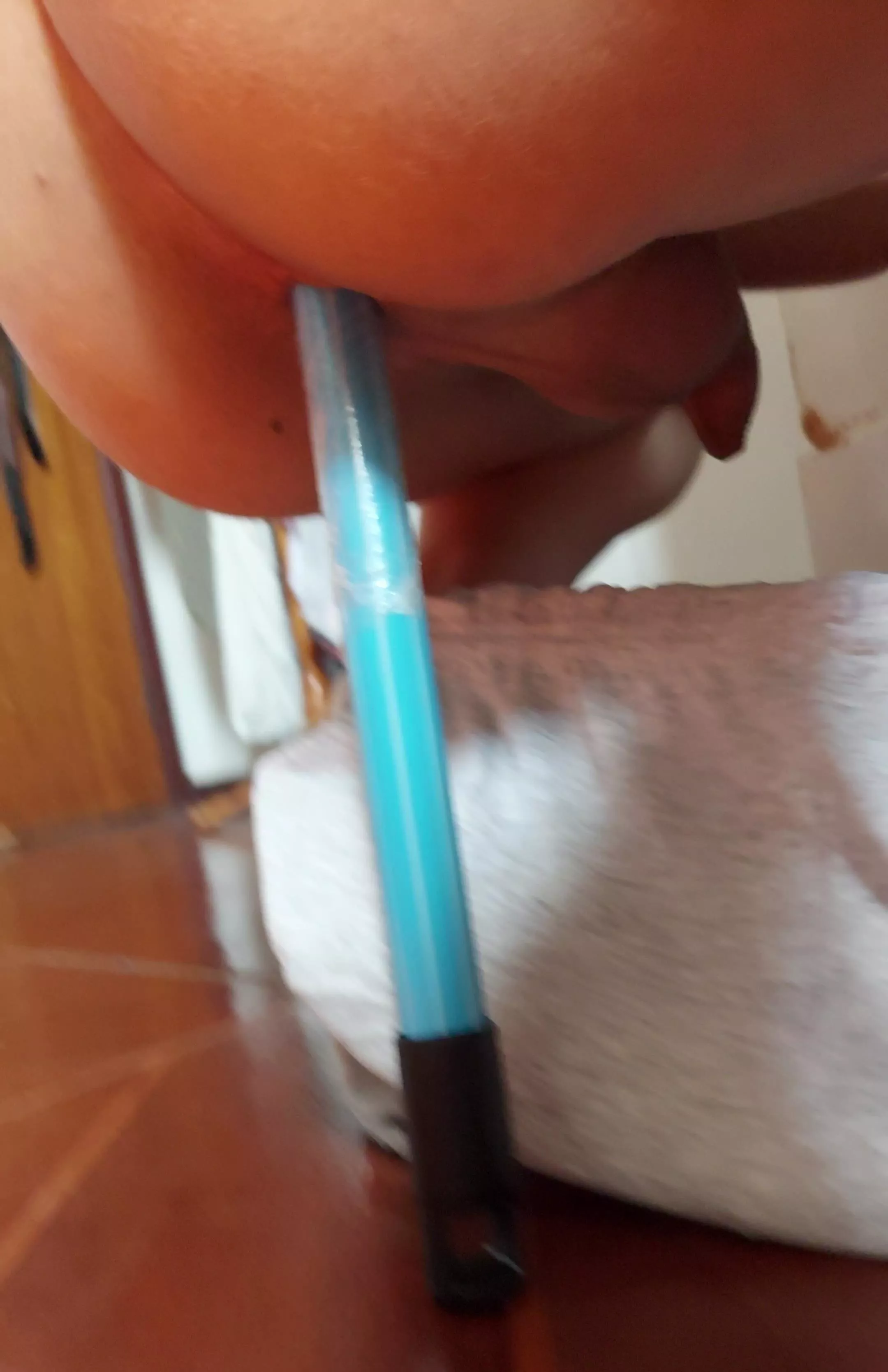 Playing with improvised toys 😆😆😊 [19] posted by LukeCinnabun