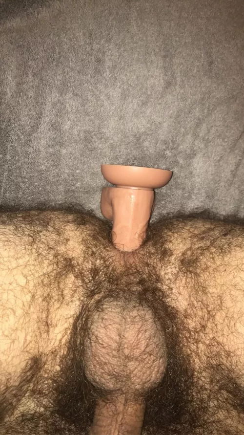 Playing with my ass a bit by bushpo