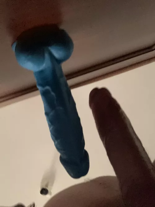 Playtime 😋 by chillbiguy