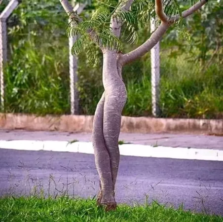 Please don’t just be me, please don’t just be me… by Pandelein