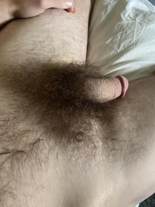 Please, explore my jungle by coredlux