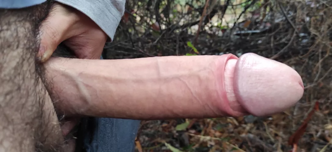 Please, rate my game meat by Mommotti