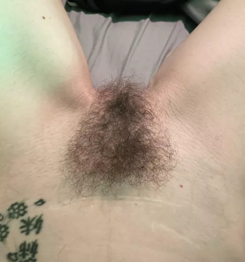 PLEASE🙏feast…I’m SOOO wet💦43 by joey-dream