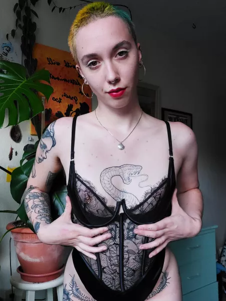 Plenty of decoration 💎 by the_salemnox