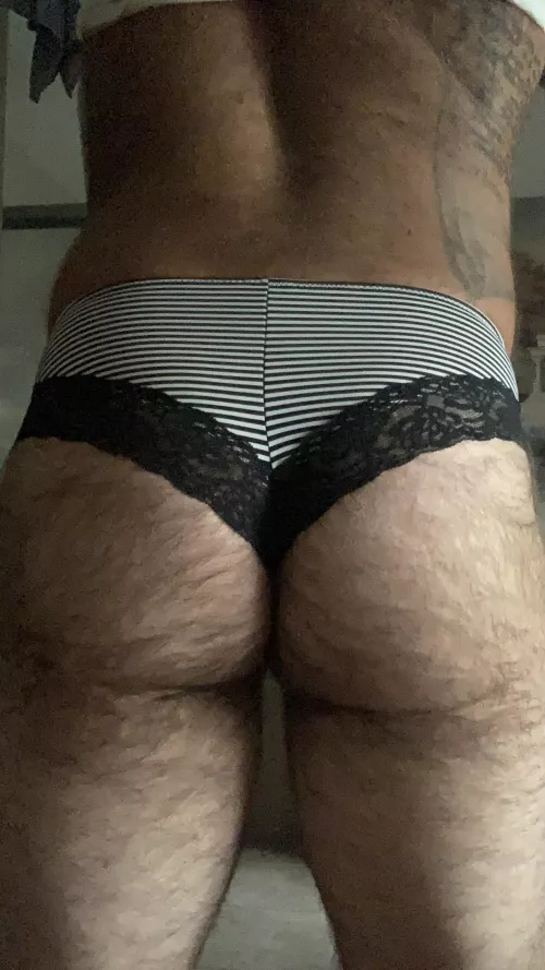 Plump by stimandplay