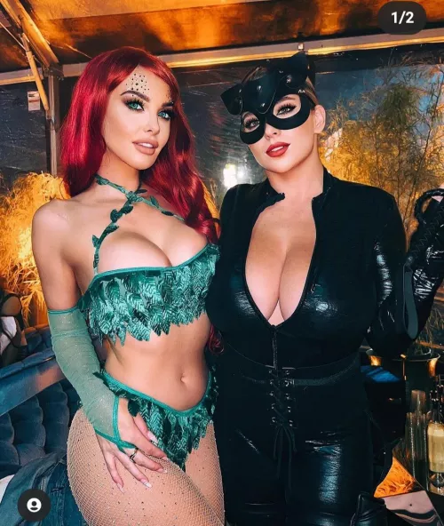 Poison ivy or catwoman by sinid00