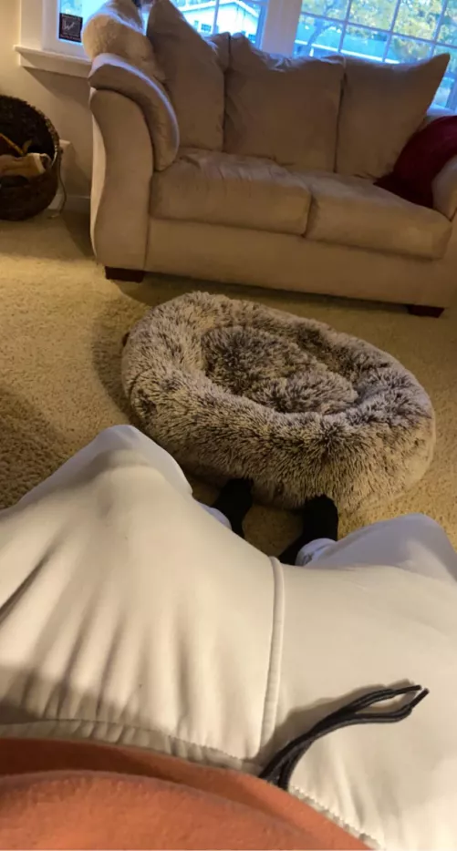 Poking his head up by sorbr13