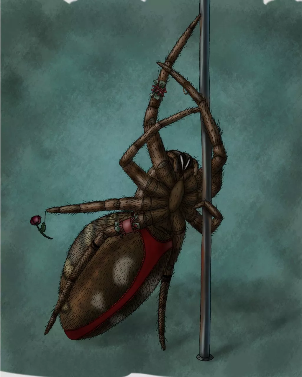 Polespider posted by spiderbutt_