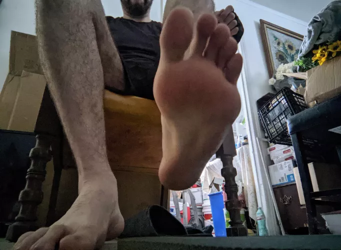 Pondering if I should squish you or not 🤔 by IndividualDetail