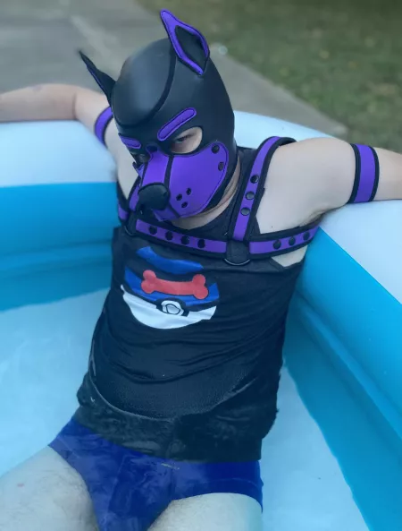 Pool puppy! by pupteufel