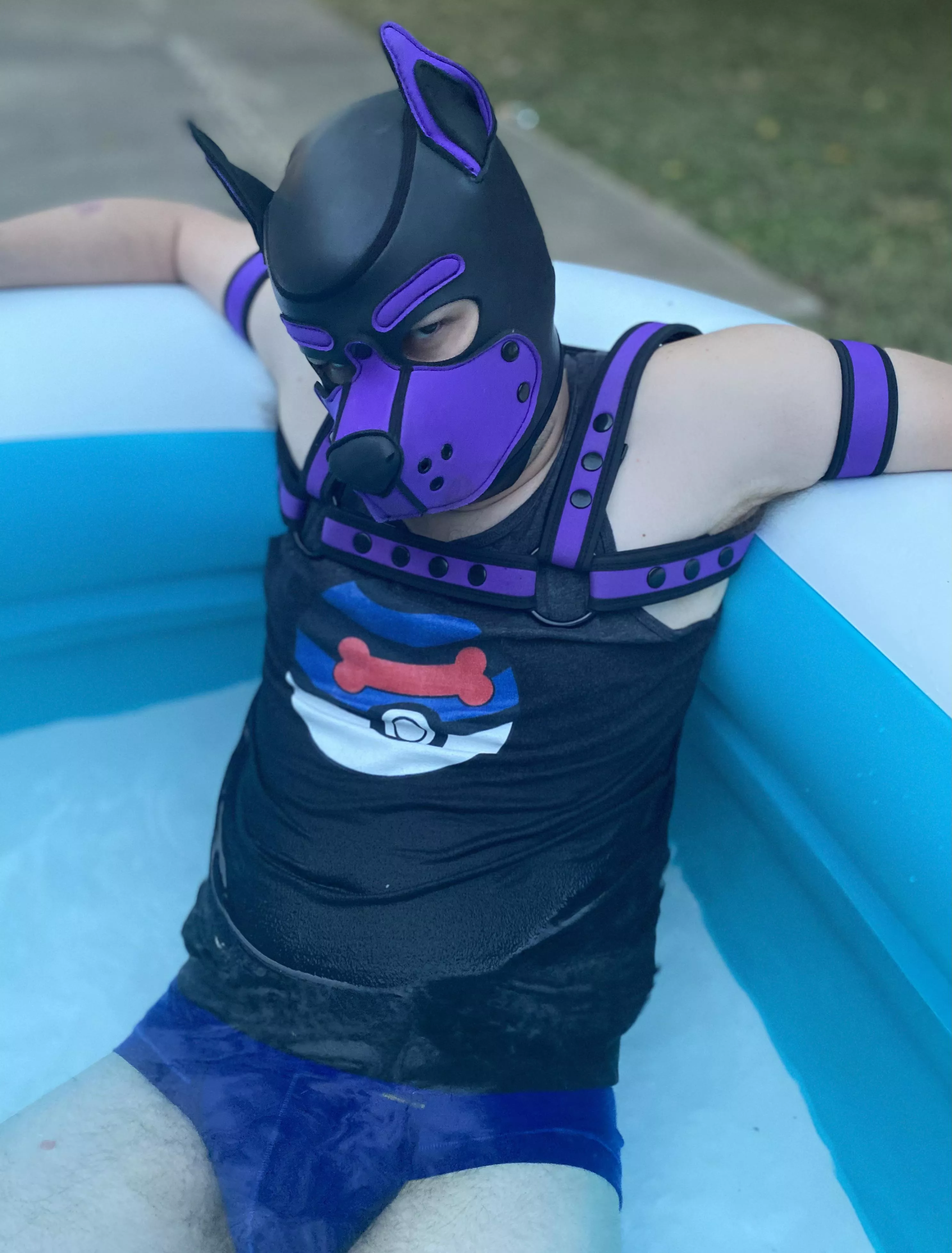 Pool puppy! posted by pupteufel