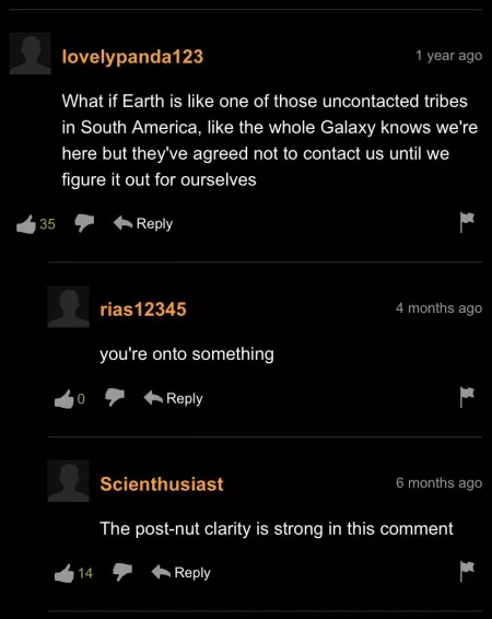 Porn is a hell of a drug apparently by Steinyy