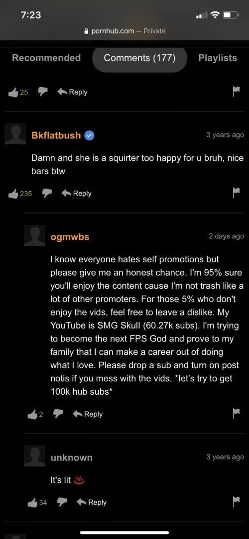 pornhub comment section is the best way to advertise you’re channel by ejaculatedpig14
