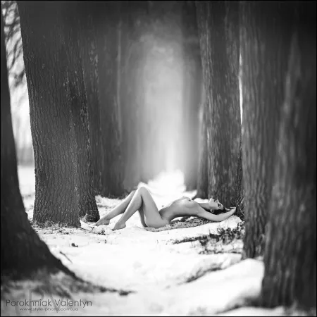 Porokhniak Valentyn (Photographer) by tasmanbayphotography