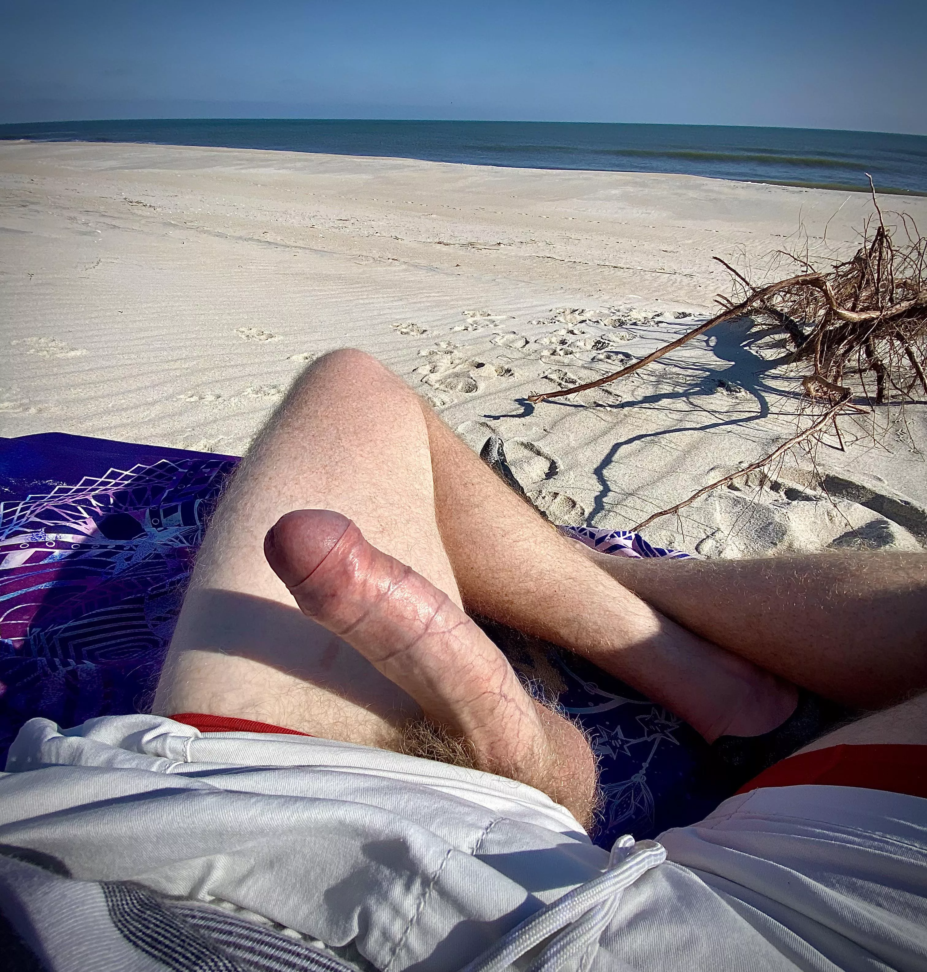 Post beach run, now the fun posted by litstick1