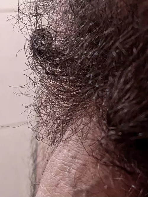 Post-run musk by socalpowerlifter