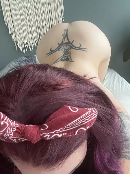 Pov sucking your cock😈 by Suzieks