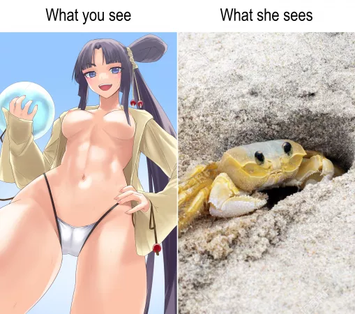 POV: you are the crab by theonetruekaiser