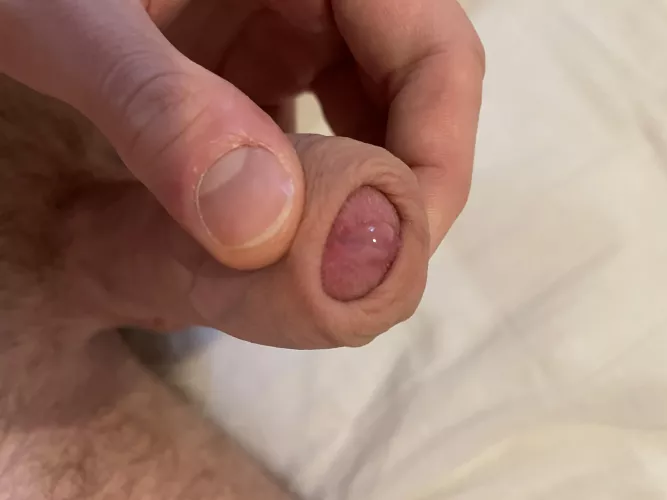 precum, wanna lick? by Real_Mountain2330