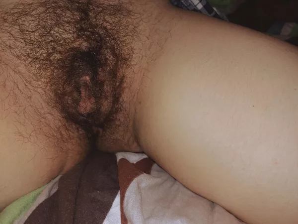 Pretty bush for us😊 by Ok_Pineapple_7082