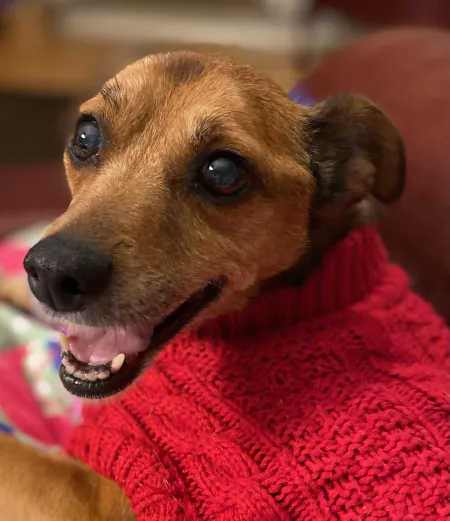 Pretty pretty princess by sthapNaow