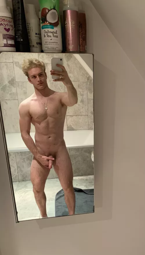 Prince Charming from Shrek by DenaFleming