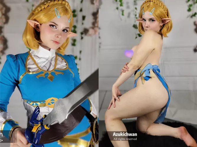 Princess Zelda [Breath Of The Wild] (azukichwan) by youraltbarbie