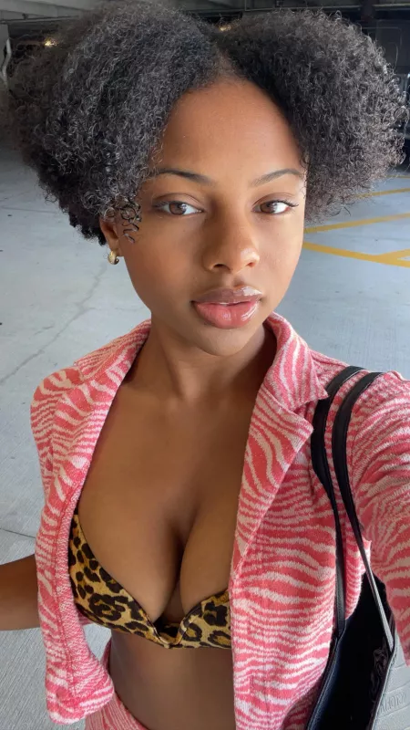 Prints 🦓 🐆 by sallymd7